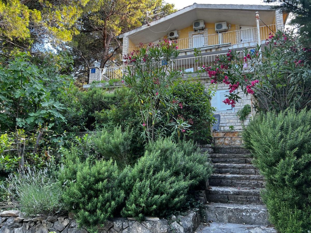 Apartmani Lidija Karin Donji Donji Karin Екстериор снимка